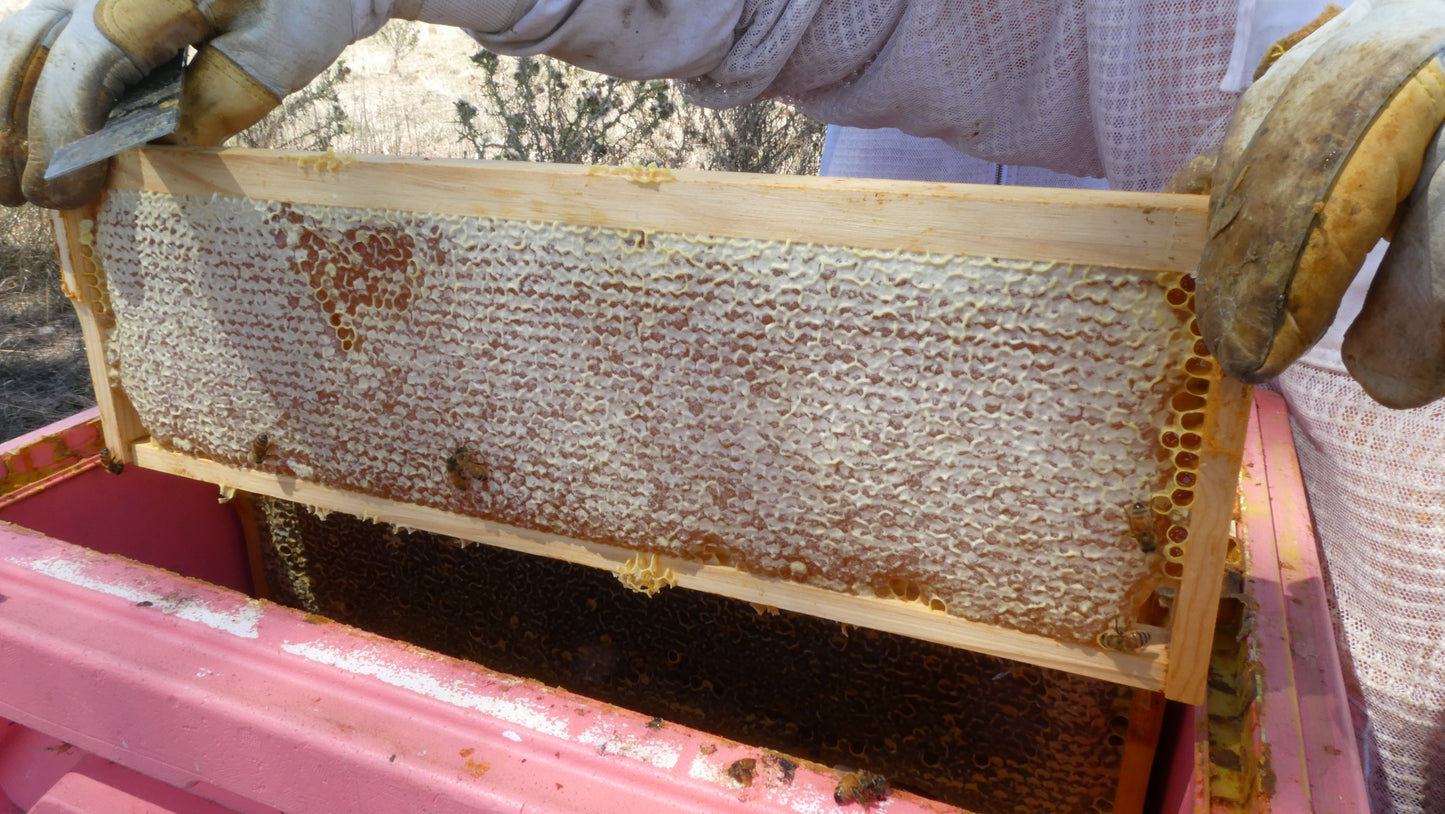 100% Australian Raw Honey