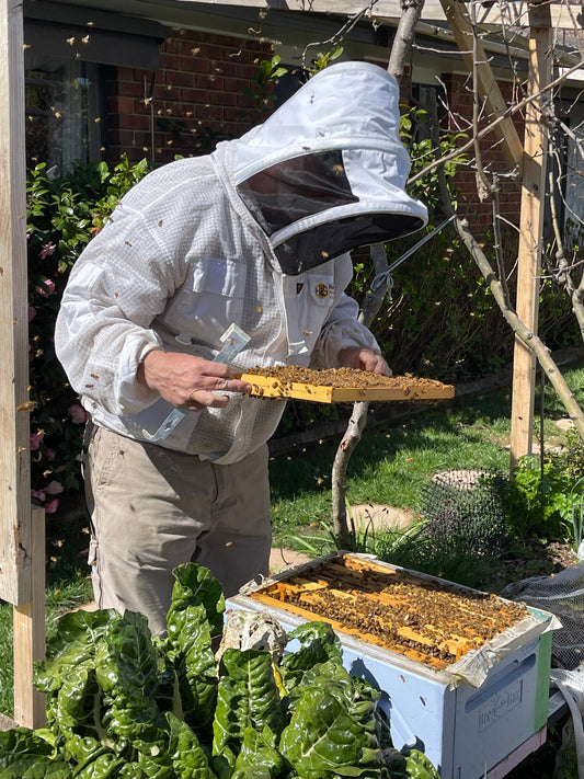 Beekeeping Field Services