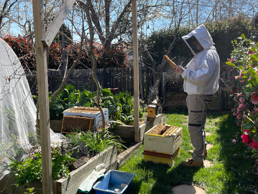 Beekeeping Field Services