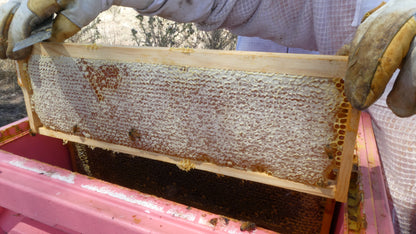 100% Australian Raw Honey