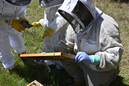 Beekeeping Field Services